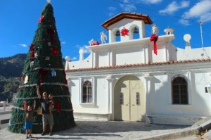 Christmas tree in guatemala