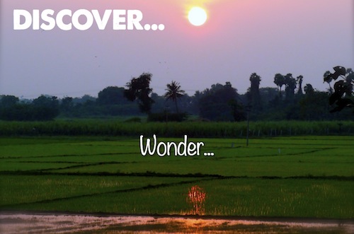 Discover Wonder...