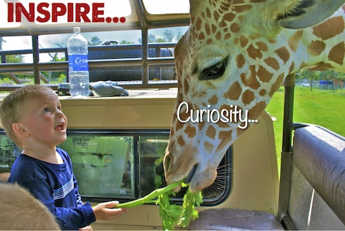Inspire Curiosity...