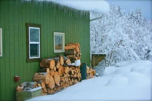 homer alaska