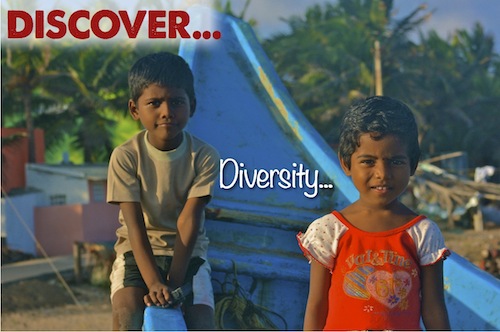 Discover Diversity...