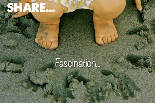 Share Fascination...